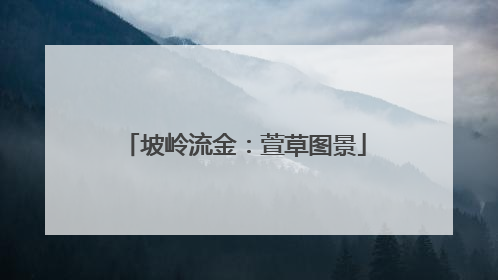 坡岭流金：萱草图景
