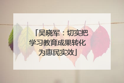 吴晓军：切实把学习教育成果转化为惠民实效