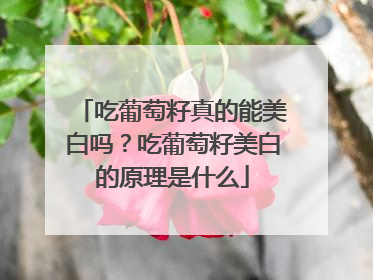 吃葡萄籽真的能美白吗？吃葡萄籽美白的原理是什么
