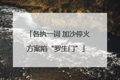各执一词 加沙停火方案陷“罗生门”
