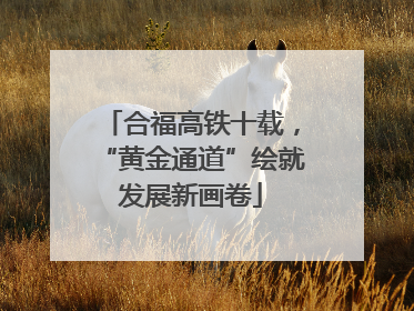 合福高铁十载，“黄金通道”绘就发展新画卷