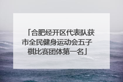 合肥经开区代表队获市全民健身运动会五子棋比赛团体第一名