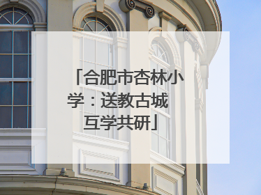 合肥市杏林小学：送教古城 互学共研