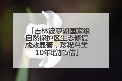 吉林波罗湖国家级自然保护区生态修复成效显著，珍稀鸟类10年增加5倍