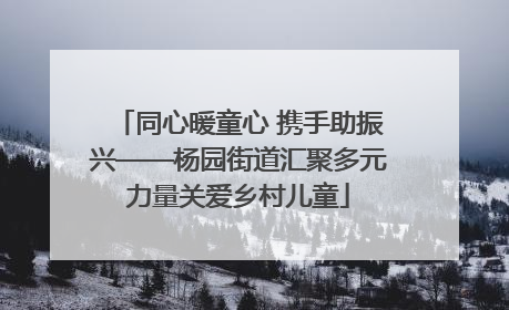 同心暖童心 携手助振兴——杨园街道汇聚多元力量关爱乡村儿童