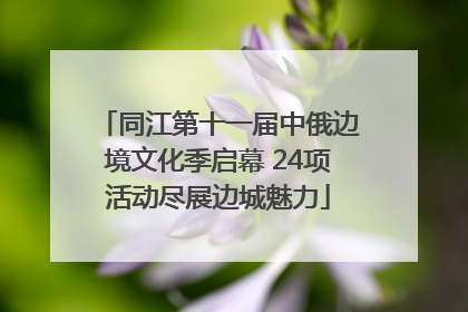 同江第十一届中俄边境文化季启幕 24项活动尽展边城魅力