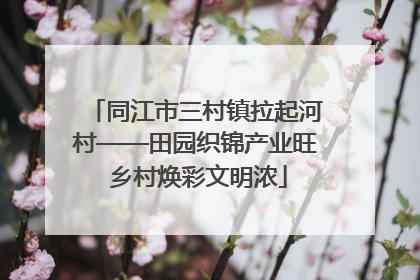 同江市三村镇拉起河村——田园织锦产业旺 乡村焕彩文明浓