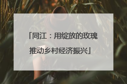 同江：用绽放的玫瑰 推动乡村经济振兴