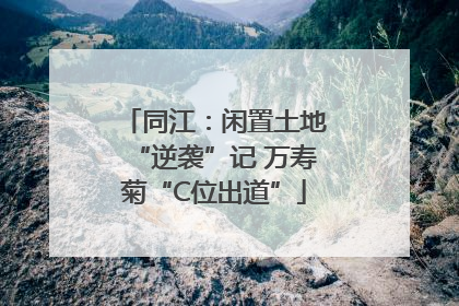 同江：闲置土地“逆袭”记 万寿菊“C位出道”