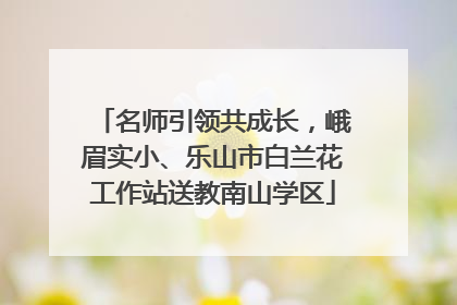 名师引领共成长，峨眉实小、乐山市白兰花工作站送教南山学区