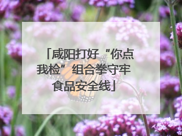 咸阳打好“你点我检”组合拳守牢食品安全线