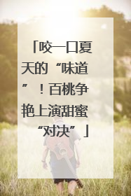 咬一口夏天的“味道”！百桃争艳上演甜蜜“对决”