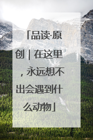 品读·原创｜在这里，永远想不出会遇到什么动物