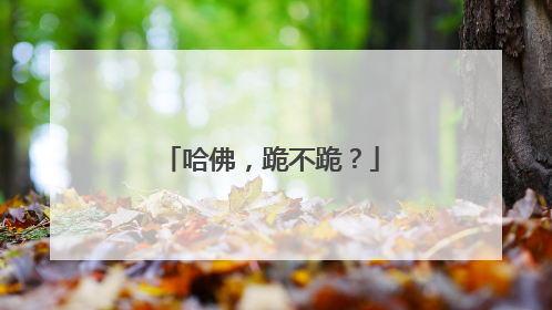 哈佛，跪不跪？