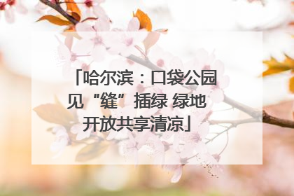 哈尔滨：口袋公园见“缝”插绿 绿地开放共享清凉