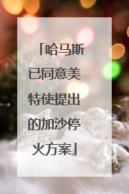 哈马斯已同意美特使提出的加沙停火方案