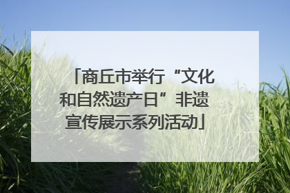 商丘市举行“文化和自然遗产日”非遗宣传展示系列活动