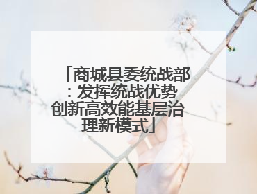 商城县委统战部：发挥统战优势 创新高效能基层治理新模式