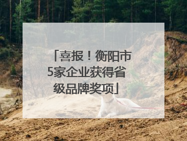 喜报！衡阳市5家企业获得省级品牌奖项