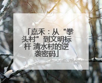 嘉禾：从“拳头村”到文明标杆 清水村的逆袭密码