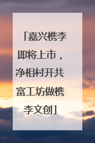 嘉兴槜李即将上市，净相村开共富工坊做槜李文创