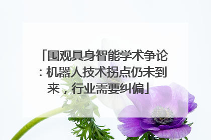 围观具身智能学术争论：机器人技术拐点仍未到来，行业需要纠偏