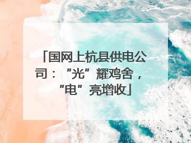 国网上杭县供电公司：“光”耀鸡舍，“电”亮增收