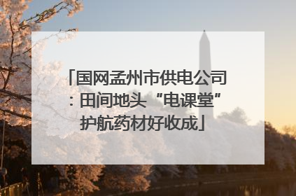 国网孟州市供电公司：田间地头“电课堂”  护航药材好收成