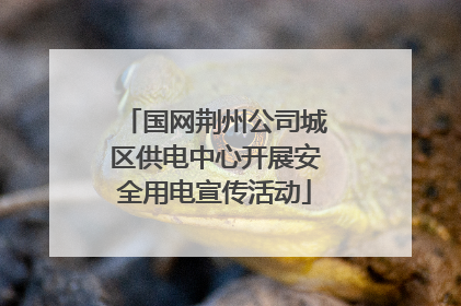 国网荆州公司城区供电中心开展安全用电宣传活动