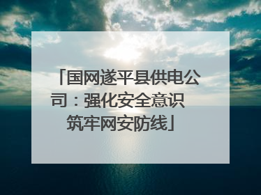 国网遂平县供电公司：强化安全意识 筑牢网安防线