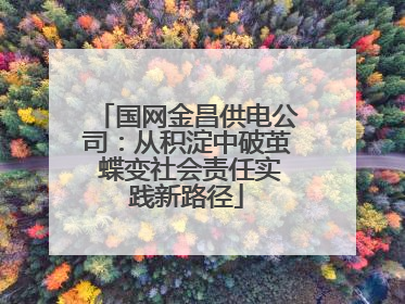 国网金昌供电公司：从积淀中破茧 蝶变社会责任实践新路径