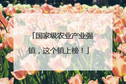 国家级农业产业强镇，这个镇上榜！