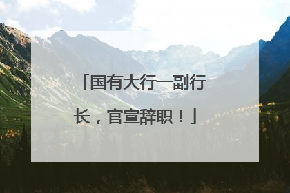 国有大行一副行长，官宣辞职！