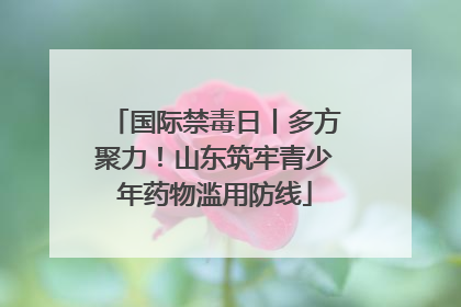 国际禁毒日丨多方聚力！山东筑牢青少年药物滥用防线
