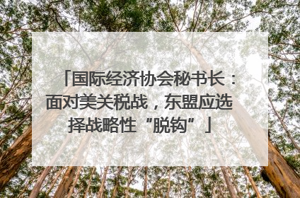 国际经济协会秘书长：面对美关税战，东盟应选择战略性“脱钩”