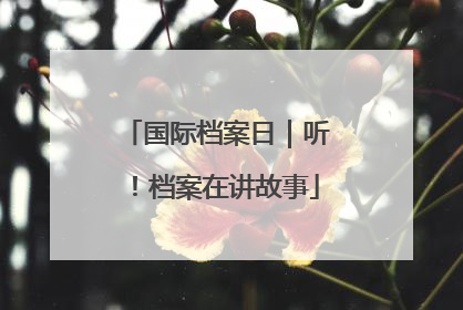 国际档案日｜听！档案在讲故事