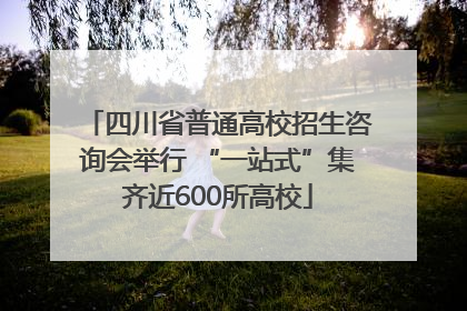 四川省普通高校招生咨询会举行 “一站式”集齐近600所高校