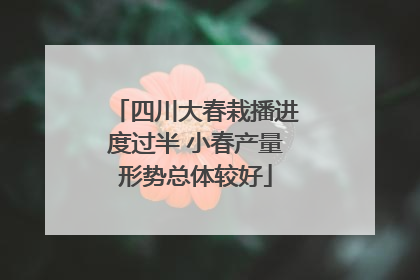 四川大春栽播进度过半 小春产量形势总体较好