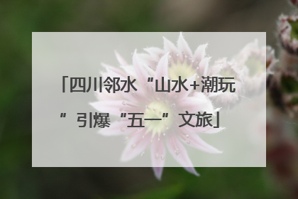 四川邻水“山水+潮玩”引爆“五一”文旅