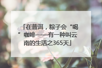 在普洱，粽子会“喝”咖啡——有一种叫云南的生活之365天