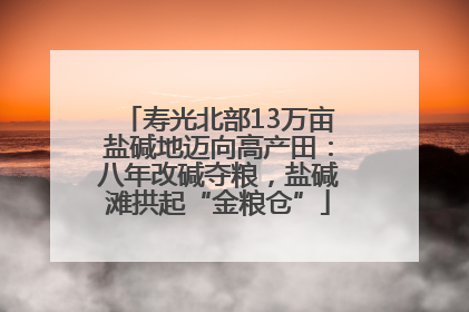 寿光北部13万亩盐碱地迈向高产田：八年改碱夺粮，盐碱滩拱起“金粮仓”