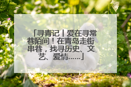 寻青记丨爱在寻常巷陌间！在青岛走街串巷，找寻历史、文艺、爱情……