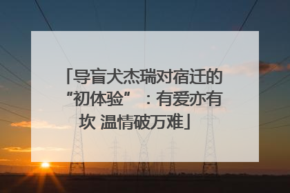 导盲犬杰瑞对宿迁的“初体验”：有爱亦有坎 温情破万难