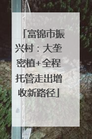 富锦市振兴村：大垄密植+全程托管走出增收新路径