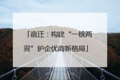 宿迁：构建“一核两翼”护企优商新格局