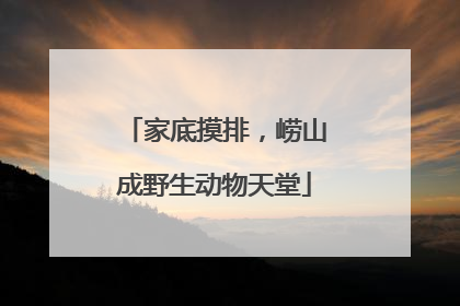 家底摸排，崂山成野生动物天堂