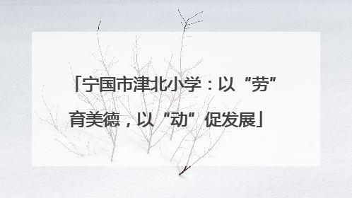 宁国市津北小学：以“劳”育美德，以“动”促发展