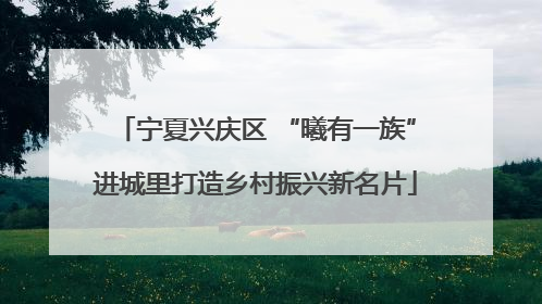 宁夏兴庆区 “曦有一族”进城里打造乡村振兴新名片
