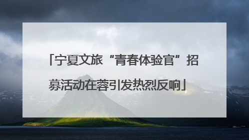宁夏文旅“青春体验官”招募活动在蓉引发热烈反响