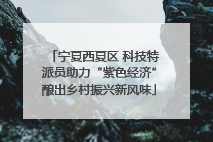 宁夏西夏区 科技特派员助力“紫色经济”酿出乡村振兴新风味